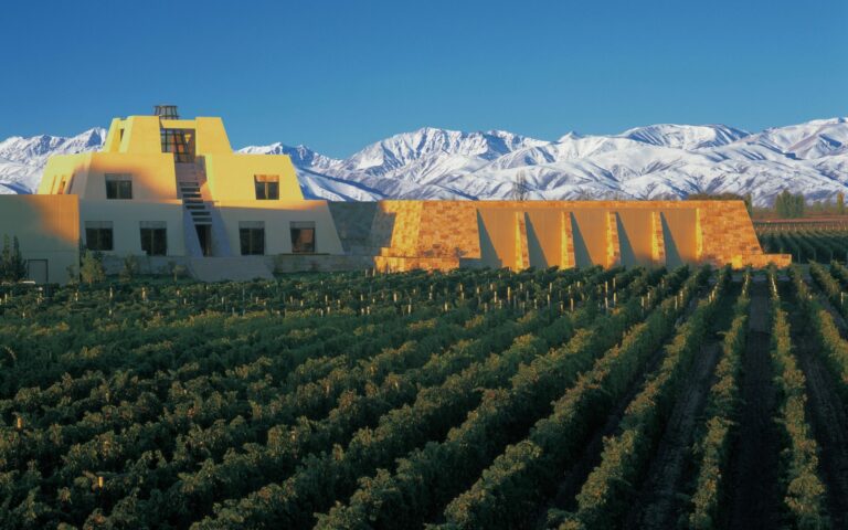 Exclusive Wine Tours A Journey Through the World’s Finest Vineyards